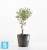 Кашпо с автополивом Ecopots Amsterdam, антрацит 20-d, 18-h