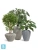 Кашпо TREEZ Effectory Moho Design-конус, белый песок 66-d, 50-h Кашпо TREEZ Effectory Moho Design-конус, белый песок 66-d, 50-h