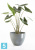Напольное кашпо Ecopots Antwerp, серое 40-d, 30-h Напольное кашпо Ecopots Antwerp, серое 40-d, 30-h