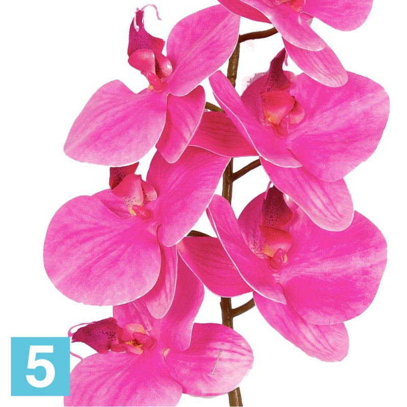 Орхидея искусственная Alseed, h-70 см., латекс, на мшистой кочке