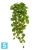 Потос Ауреум искусственный TREEZ Collection ампельный h-55