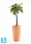 Высокое кашпо Ecopots Sankara-H, терракотовое 45-d, 75-h