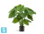 Алоказия Калидора искусственная TREEZ Collection куст