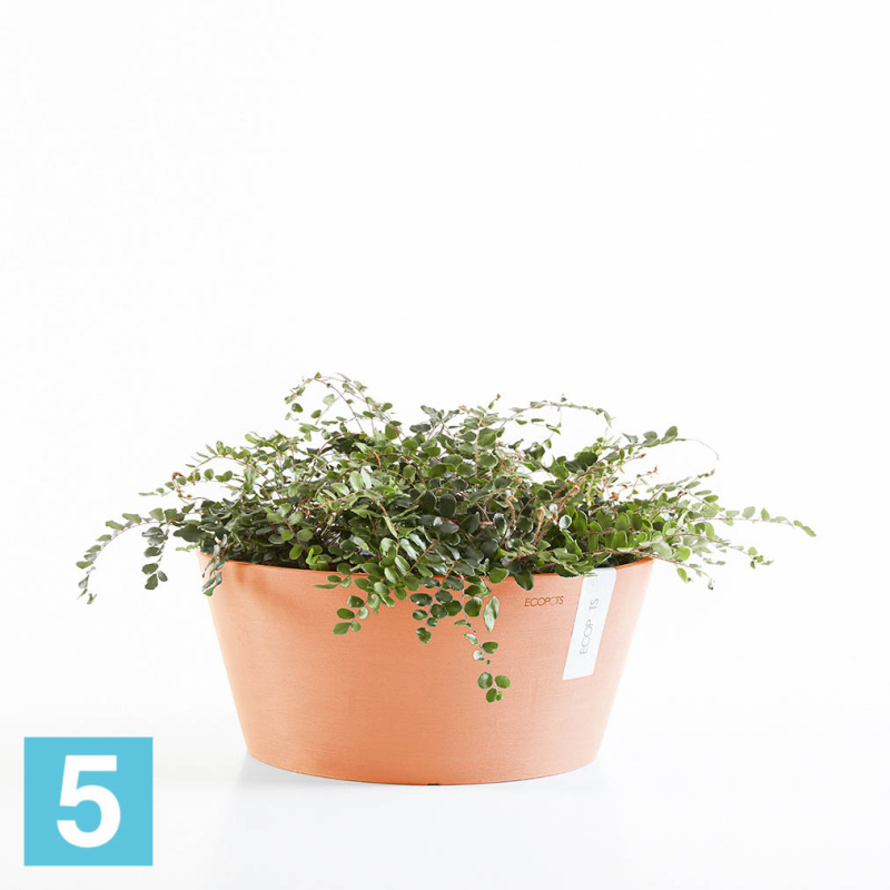 Напольное кашпо Ecopots Frankfurt, терракотовое 50-d, 26-h