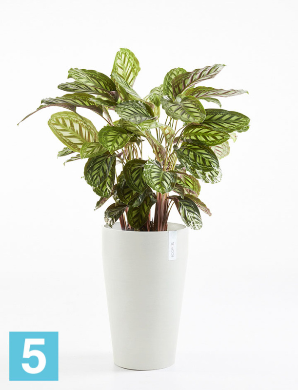 Высокое кашпо Ecopots Sankara-MH, светло-серое 35-d, 55-h