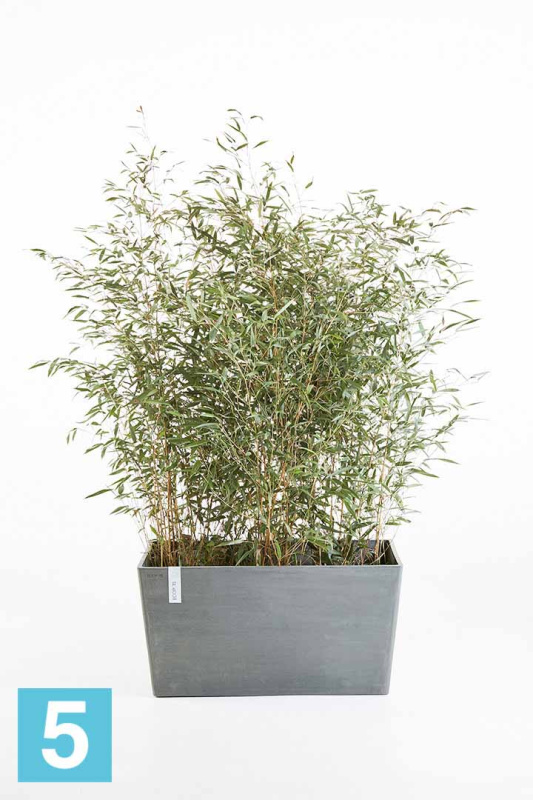 Прямоугольное кашпо Ecopots Paris, серое 99-l, 46-w, 50-h