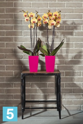 Кашпо Lamela Finezja flower pot, зеленое 12,5-l, 12,5-w, 20-h в #REGION_NAME_DECLINE_PP#