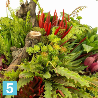 Тыква большая с суккулентами искусственная Alseed, d-35, т, ,50