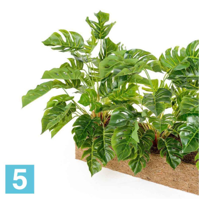 Куст Монстеры искусственный Alseed, h-35 см. в кокосовом боксе, латекс, 50*10*10