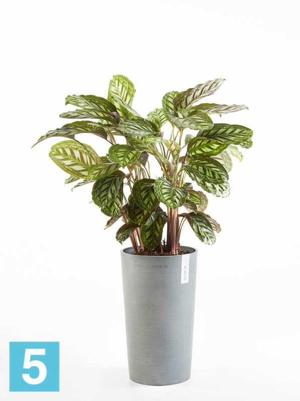 Высокое кашпо Ecopots Amsterdam-MH, серое 30-d, 50-h