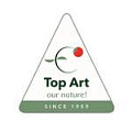 Top Art  - искусственные растения