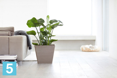 Кашпо с автополивом Ecopots Rotterdam, серо-коричневое 50-l, 50-w, 44-h