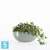 Напольное кашпо Ecopots Sofia Big, серо-голубое 43-l, 25-w, 17,5-h