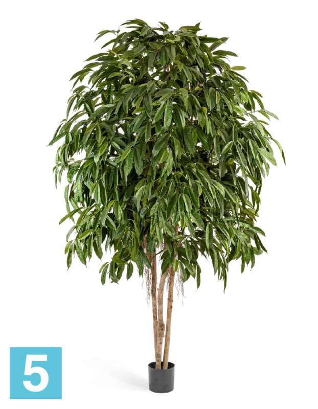 Лонгифолия широколистная многоствольная искусственная TREEZ Collection 270h