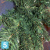 Искусственная елка Royal Christmas Giant Trees, ПВХ, 510-h