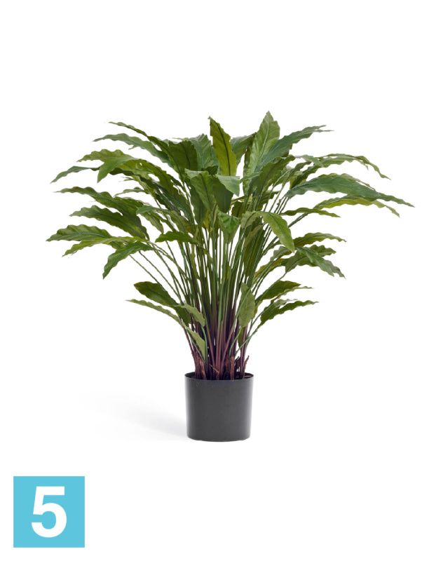 Калатея в горшке искусственная TREEZ Collection 75h