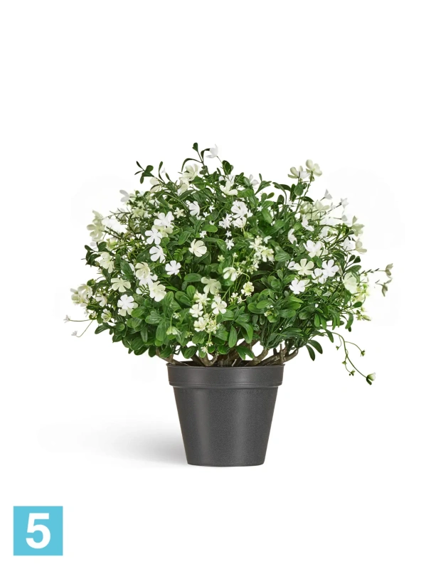 Композиция Альпийское разнотравье с белыми цветами TREEZ Collection 52h