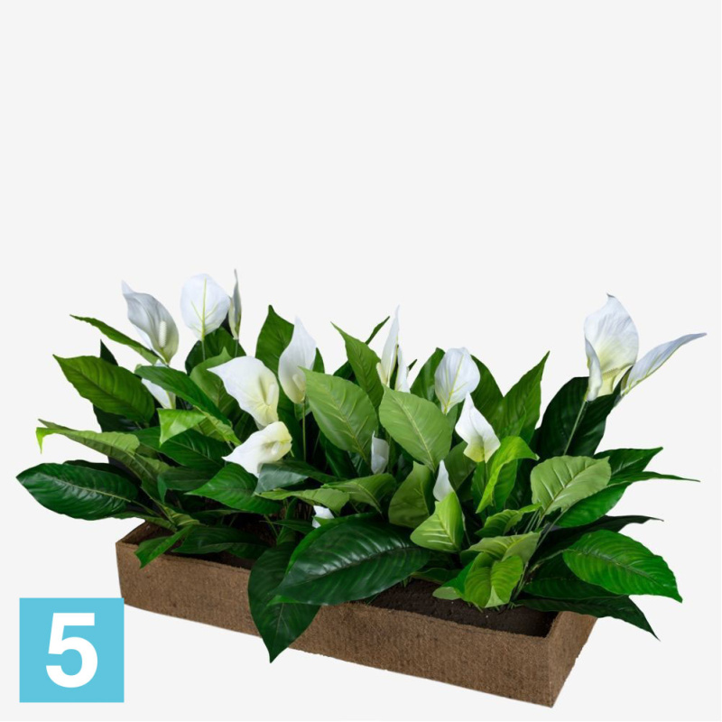 Спатифиллум искусственный Alseed, h-75 см. в кок.боксе, 100х30х15