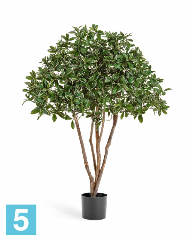 Эонимус искусственный TREEZ Collection (Бересклет) Японский зонтичный 120h
