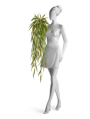Искусственный эвкалипт узколистный ампельный зелёный с розовым TREEZ Collection 100h