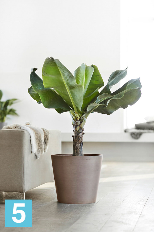 Напольное кашпо Ecopots Amsterdam, серо-коричневое 50-d, 44-h