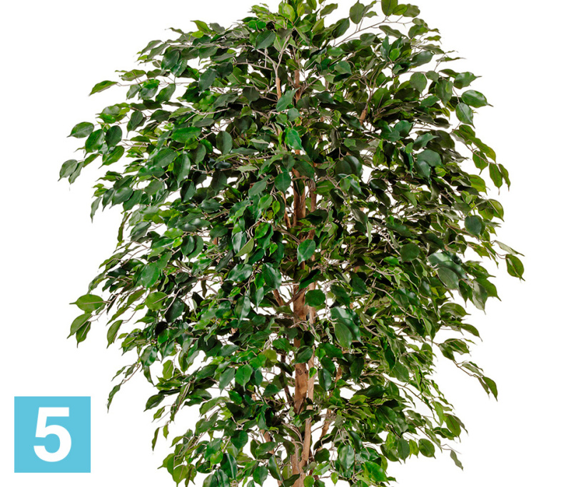 Фикус искусственный TREEZ Collection Бенджамина Де Люкс 240h