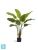 Искуственная стрелиция New Style (Sensitive Botanic) TREEZ Collection 110h