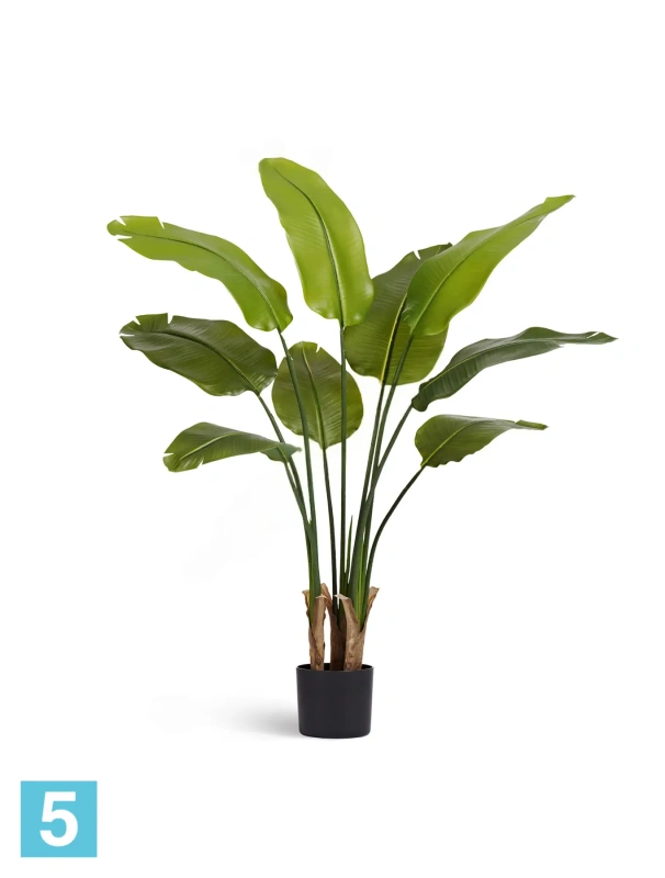 Искуственная стрелиция New Style (Sensitive Botanic) TREEZ Collection 110h