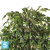 Фикус искусственный TREEZ Collection Лиана Де Люкс 150h
