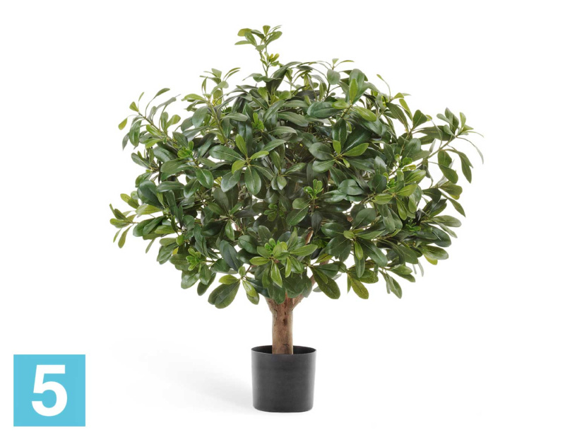 Питтоспорум искусственный TREEZ Collection шар 75h