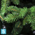 Искусственная елка Royal Christmas Auckland Premium, Литая + ПВХ, 210-h