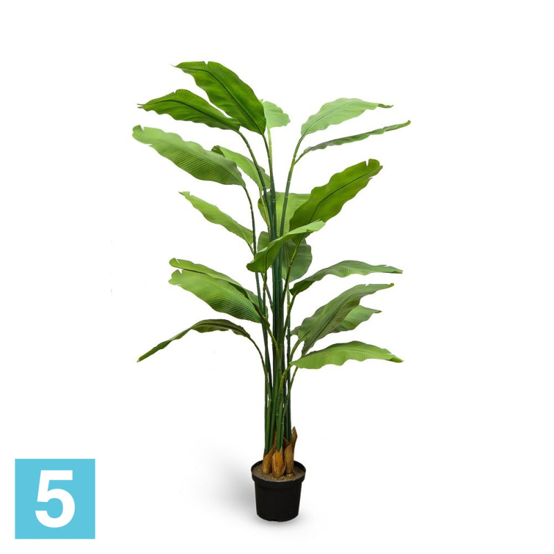 Куст Банана искусственный Alseed, зеленый, h-180 см., латекс