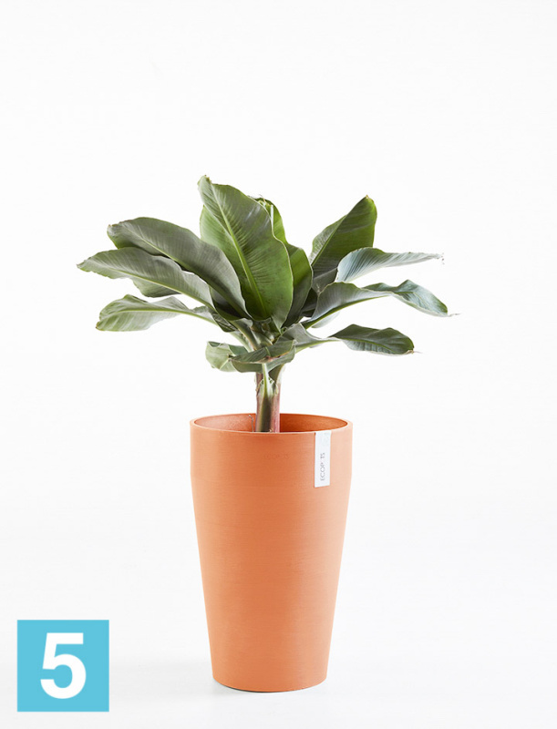 Высокое кашпо Ecopots Sankara-MH, терракотовое 35-d, 55-h