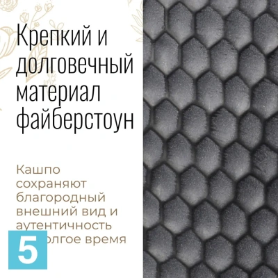 Сансевиерия Лауренти в черном кашпо IDEALIST на ножках, общая высота 55