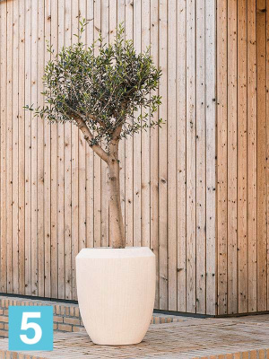 Кашпо Polystone coated plain coppa natural, со вставкой d-45 h-55 см