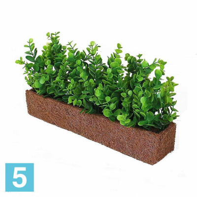 Самшит эвкалипт. в кокос. боксе искусственный Alseed, 40*8*7 в #REGION_NAME_DECLINE_PP#