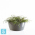 Напольное кашпо Ecopots Frankfurt, антрацит 41-d, 18-h Напольное кашпо Ecopots Frankfurt, антрацит 41-d, 18-h