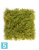 Мох Ягель светло-зелёный микс (коврик) искусственный TREEZ Collection 25h