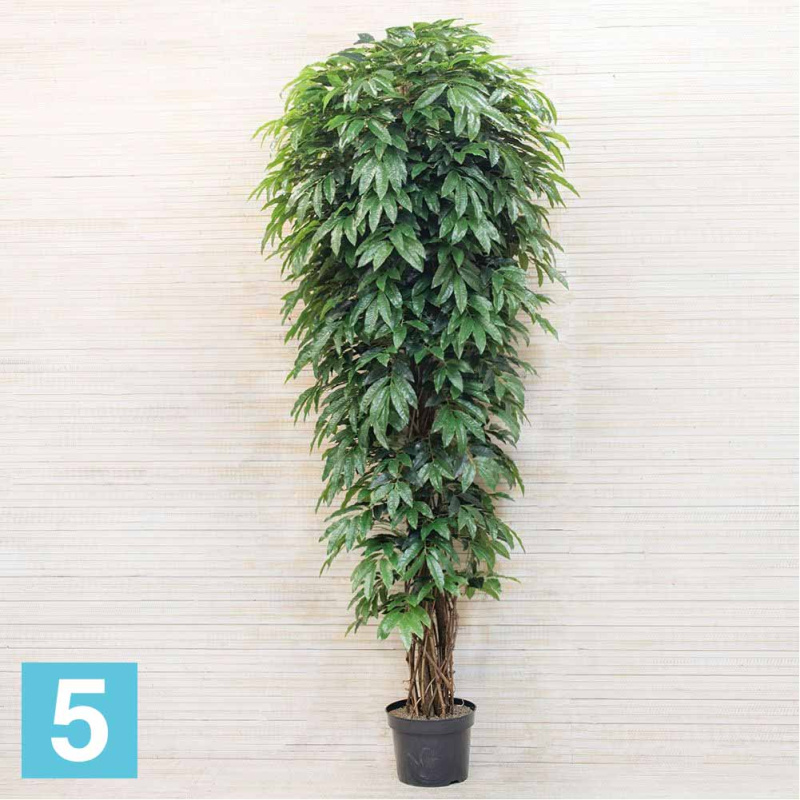 Лонгифолия искусственная Alseed, h-270 см.