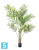 Пальма искусственная TREEZ Collection Арека Новая 190h