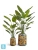 Кашпо TREEZ Effectory Savage Garden Design-ваза King, терракот и синий 43-d, 62-h
