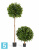 Лавр круглый искусственный TREEZ Collection на низком стволе 80h
