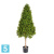 Самшит Тауэр искусственные TREEZ Collection уличный новые 105h, (крона 40-d, 75-h)