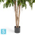 Лонгифолия широколистная многоствольная искусственная TREEZ Collection 270h