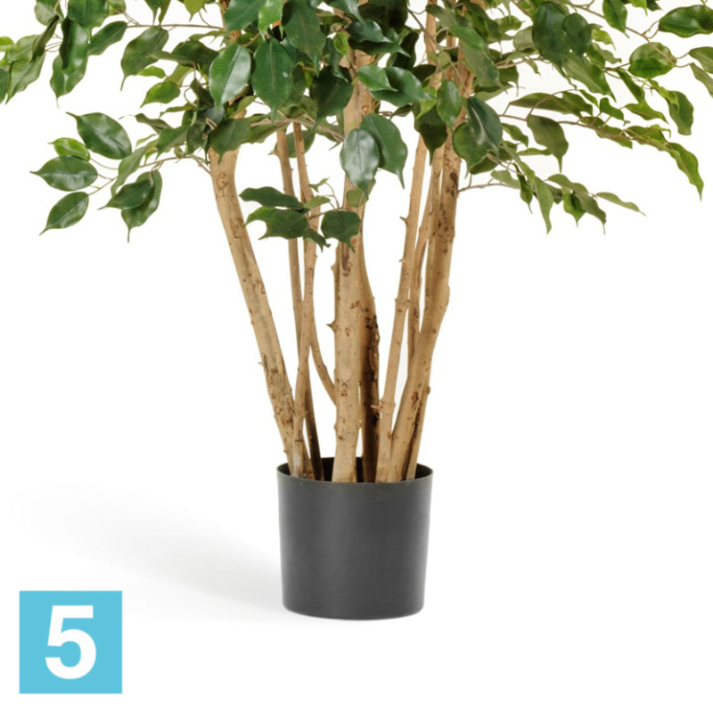 Фикус искусственный TREEZ Collection Бенджамина многоствольный 210h
