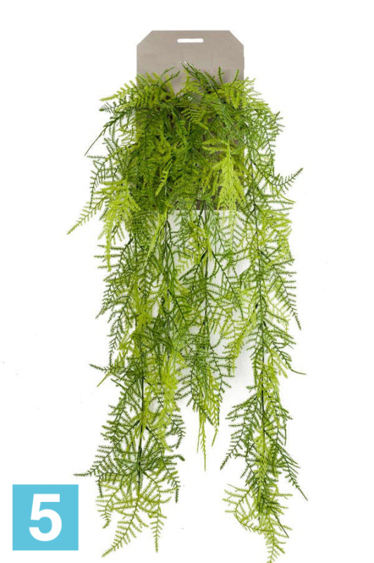 Аспарагус искусственный перистый Sensitive Botanic (ампельный куст 6 веток)