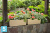 Кашпо Lamela Begonia Rattan, черное 56-l, 19-w, 19,5-h