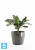Напольное кашпо Ecopots Sankara, антрацит 40-d, 35-h