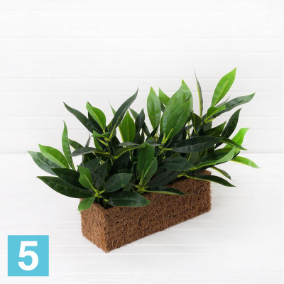 Трава Лавр искусственная Alseed, h-25 см., латекс, в кокосовом боксе 25*8*8