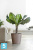 Напольное кашпо Ecopots Amsterdam, серо-коричневое 60-d, 56-h